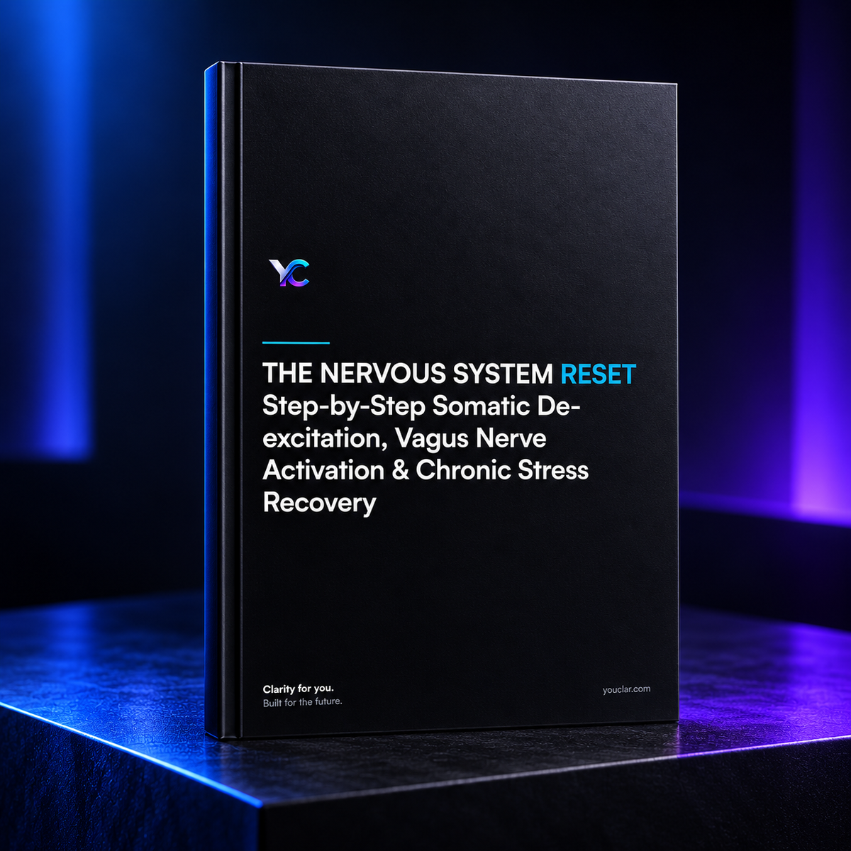 The Nervous System Reset | Somatic & Vagus Nerve Regulation Workbook